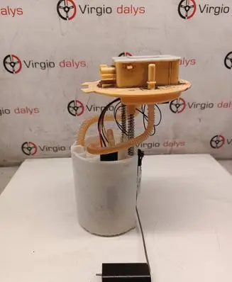 Renault Kangoo III In-tank fuel pump 170115219R A2C16761604