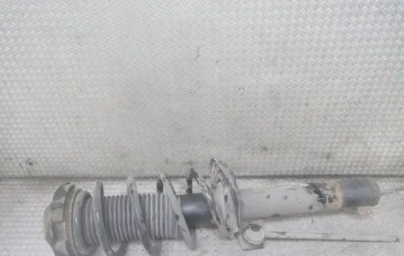 Seat Altea Front shock absorber with coil spring
