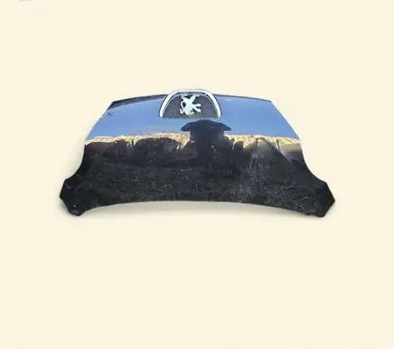 Peugeot 107 Engine bonnet/hood 533240H020