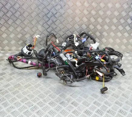 Tesla Model 3 Other wiring loom 106876800E