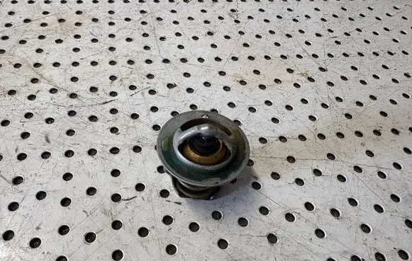 Microcar MC Thermostat 