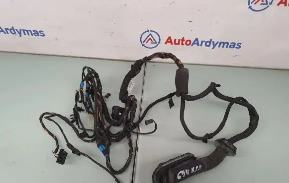 BMW 7 F01 F02 F03 F04 Front door wiring loom 9302929 61129302929 9262859
