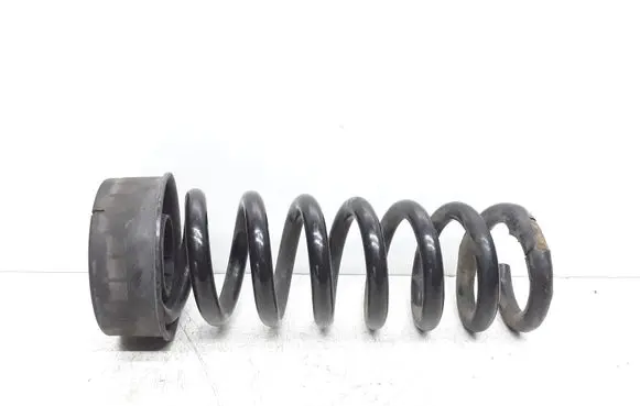 Rear coil spring