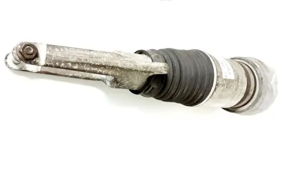 Porsche Panamera (970) Front shock absorber/damper 970343051341