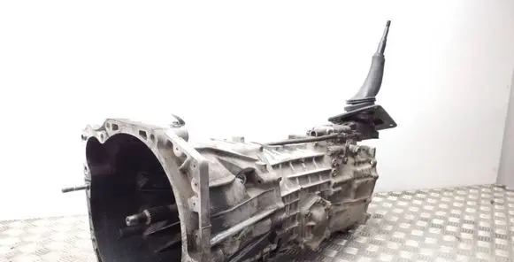 Suzuki Grand Vitara II Manual 5 speed gearbox 6601826 217029