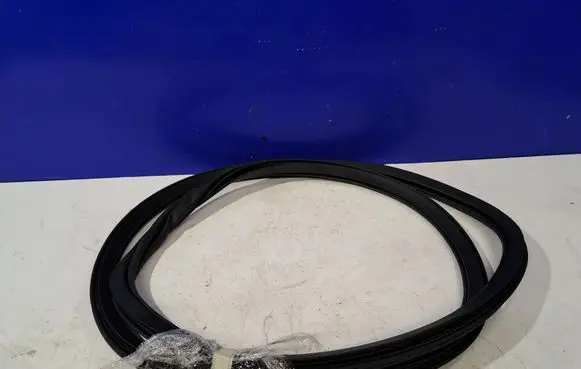 Polestar 2 Rubber seal rear door 31662572