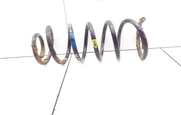 Rear coil spring