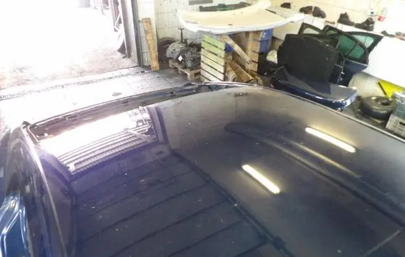 Renault Megane I Roof