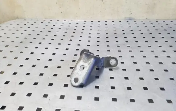 Hyundai ix35 Front door lower hinge 