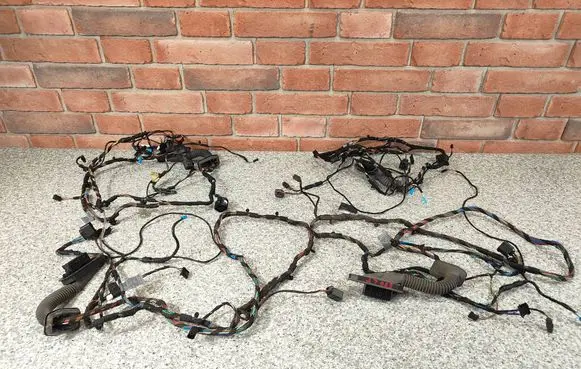 BMW X5 E70 Front door wiring loom 6977054 6977074 6977066