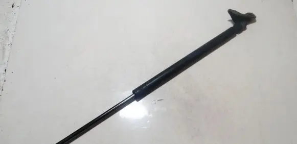 Tailgate/trunk strut/damper