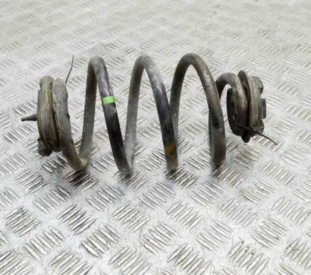 Nissan Leaf II (ZE1) Rear coil spring 550205SJ0A