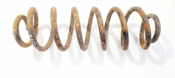 Rear coil spring