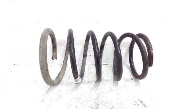Rear coil spring