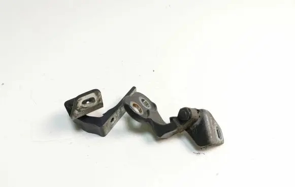 Ford Focus Front door hinge set 