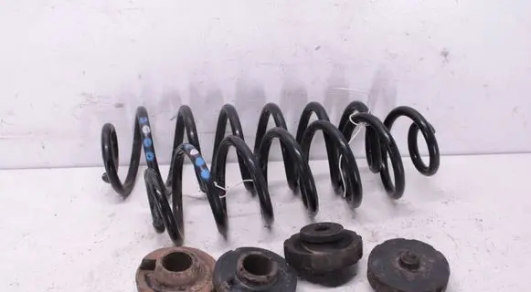 Rear coil spring