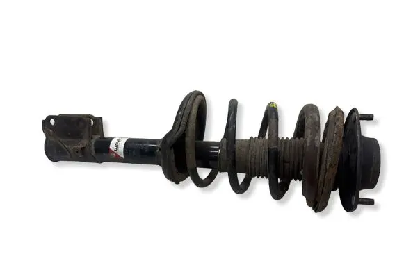 Hyundai Tucson JM Front shock absorber with coil spring AG0316MT