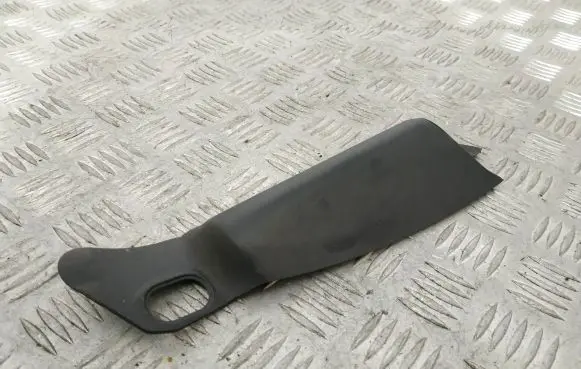 Rear/tail light trim molding