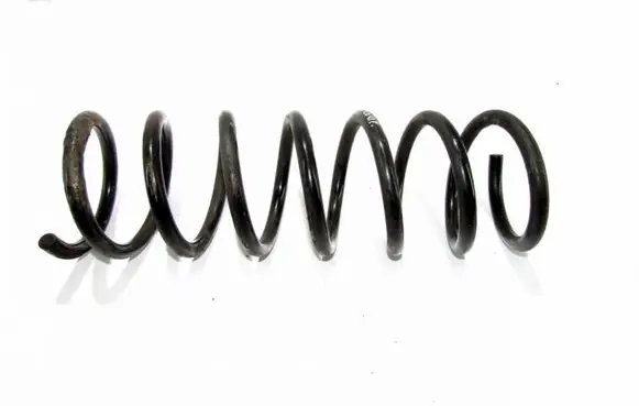 Rear coil spring