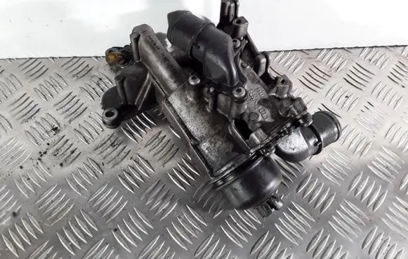 Nissan Qashqai Oil filter mounting bracket 820079762