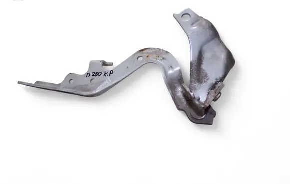 Lexus IS 220D-250-350 Engine bonnet/hood hinges