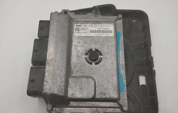 Engine control unit/module ECU