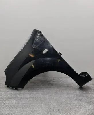 Renault Twingo II Fender 8200588323