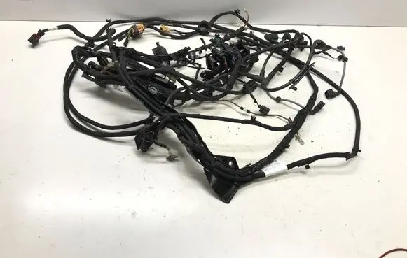 Positive wiring loom
