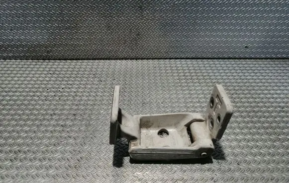 Volkswagen Crafter Rear door lower hinge A9067400637