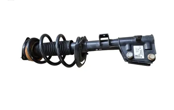 Chrysler Pacifica Front shock absorber/damper 68248734AF 24021112959 824904012358
