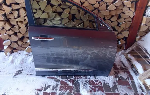 KIA Niro Front door 
