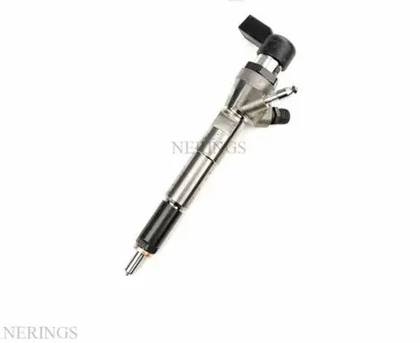 Dacia Duster Fuel injector 166006212R