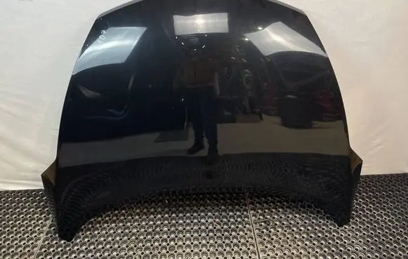 Nissan Juke I F15 Engine bonnet/hood 