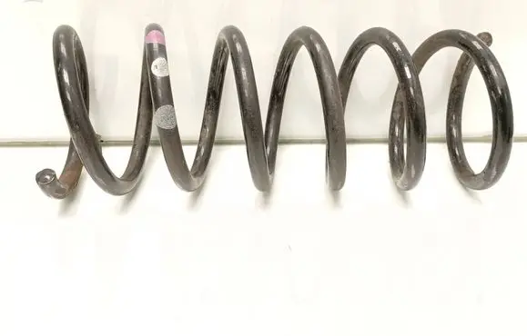 Rear coil spring