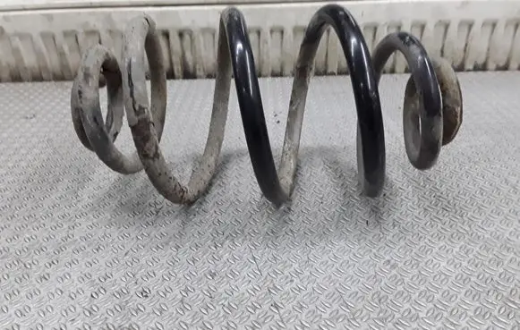 Volkswagen PASSAT B5.5 Rear coil spring
