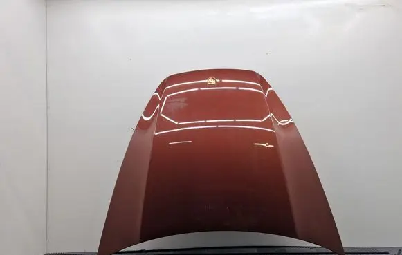 Porsche Cayenne (92A) Engine bonnet/hood 