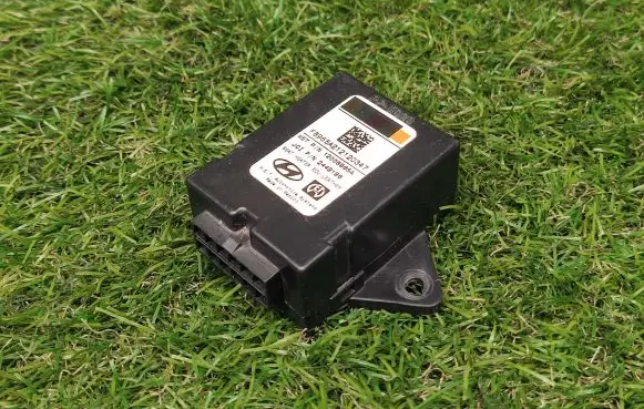 Hyundai Santa Fe Other control units/modules 2449196 12008965A