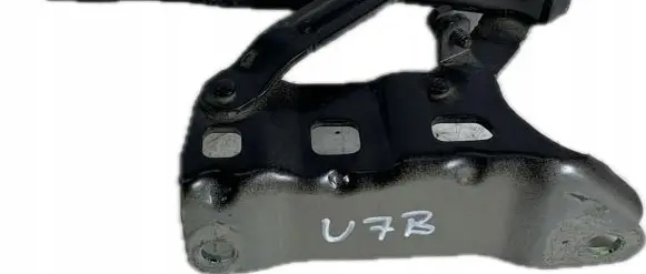 Hyundai Palisade Engine bonnet/hood hinges LX2-RH