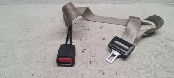 Seat Toledo II (1M) Middle seatbelt buckle (rear) 1J0857488 1J0857487B