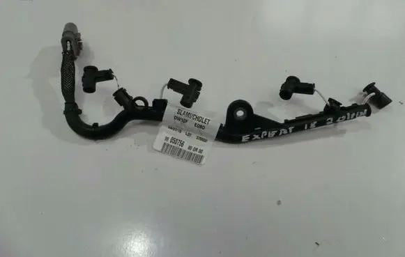 Peugeot Expert Glow plug wires 9805075680