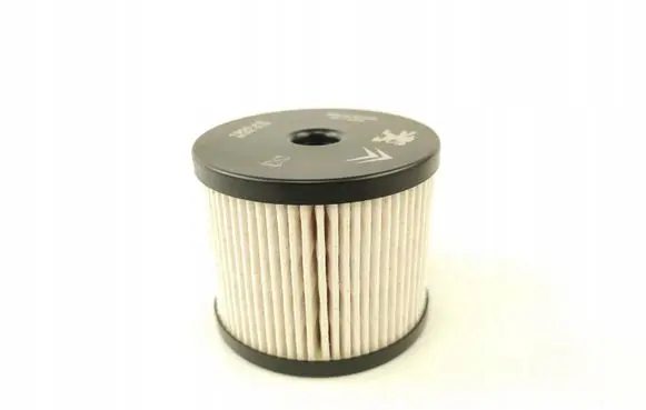 Citroen Berlingo Fuel filter 1906A6