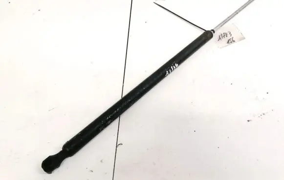 Tailgate/trunk strut/damper