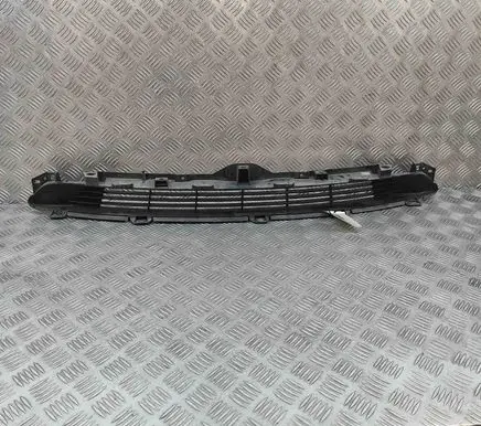 Tesla Model 3 Front grill 108592700C