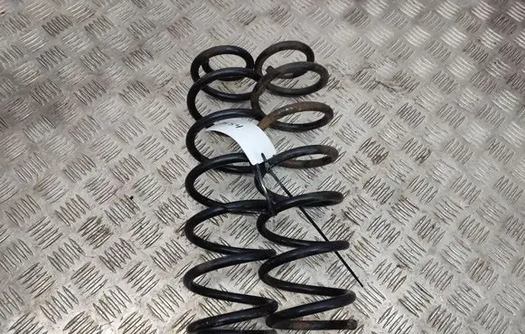 Rear coil spring