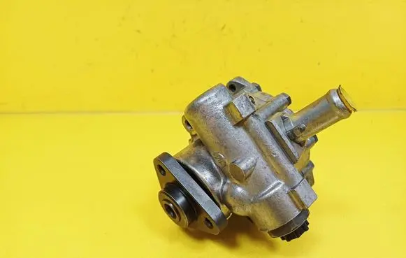 Fiat Punto (188) Power steering pump 7779163
