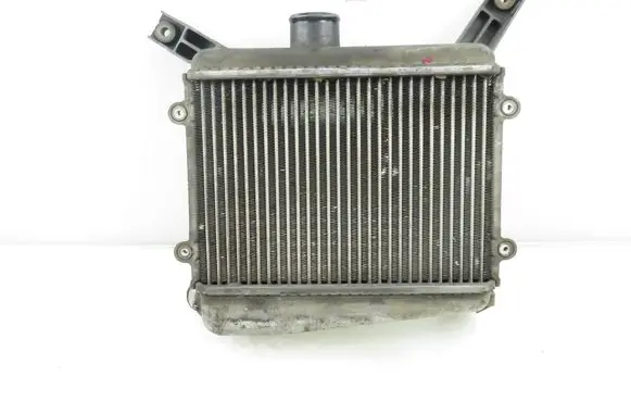 Toyota RAV 4 (XA20) Intercooler radiator 