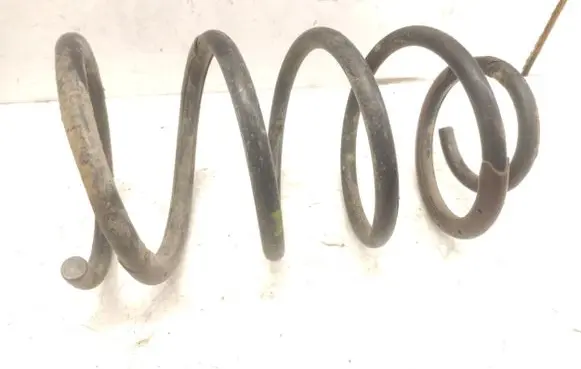 Front coil spring