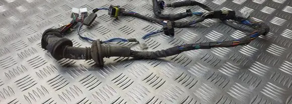 Toyota Avensis T220 Front door wiring loom