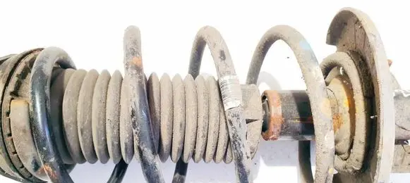 Rear coil spring