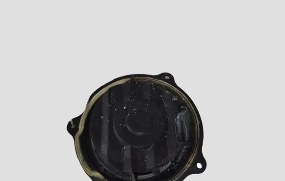 Citroen C5 Rear door speaker